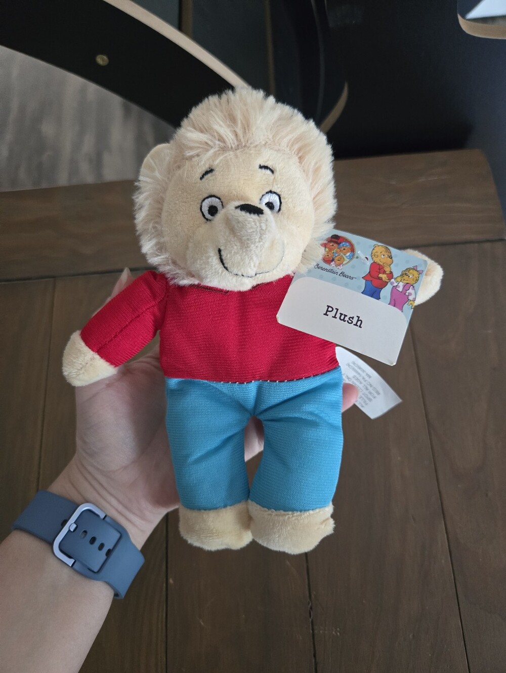 The Berenstain Bears Brother Bear Plush New With Tags